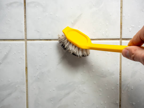 Professional Mold Remediation in Zeigler, IL