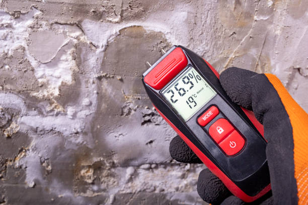 Best Mold Remediation for Schools in Zeigler, IL