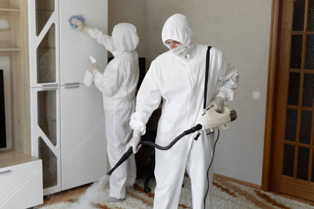Best DIY Mold Remediation Support Services in Zeigler, IL