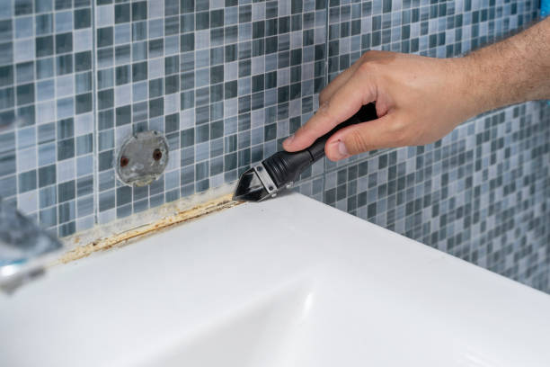 Best Kitchen Mold Remediation in Zeigler, IL